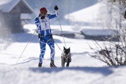 Lenk 2013